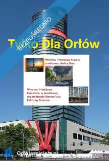 tylko teraz Wrocław Steinhard Inter-Conti Group sprzEdaż K