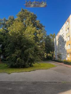 Wynajmę przytulne 2 pokojowe na Dickenas 15