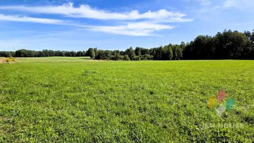 Działka pod dom przy lesie cisza i natura