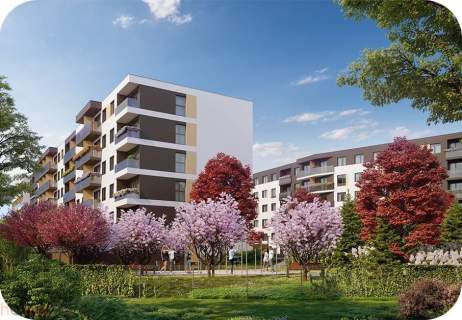 2-pokojowe mieszkanie na Sołtysowicach