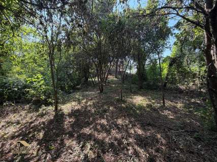 Dom do remontu Cieszyn Działka 585 m