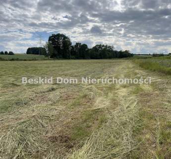 Działka inwestycyjna na sprzedaż, 12600 m2, Międzyrzecze Dolne