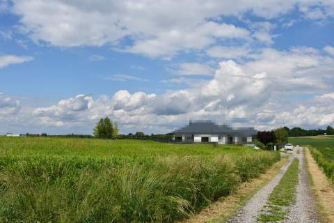 Działka inwestycyjna 81.7a w Krasne
