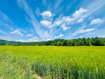 Złoty Widok na Twoją Przyszłość 1800 m2 Słupice