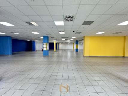 Lokal użytkowy do wynajęcia, 650 m2, Gorzów Wielkopolski