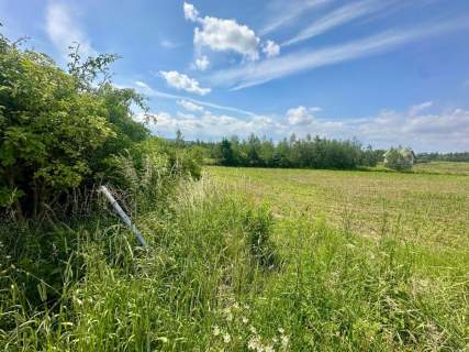 Złoty Widok na Twoją Przyszłość 1800 m2 Słupice