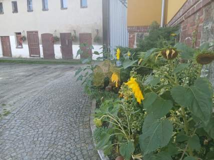 Mieszkanie 55,40 m2 z garażem w centrum Żarowa