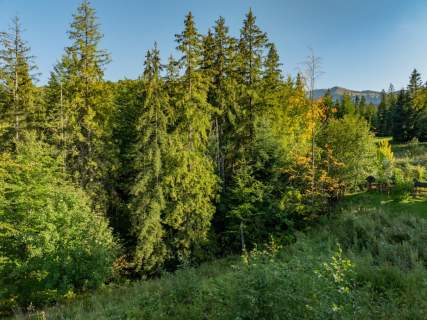 Działka Rolno-Leśna 2784 m Kościelisko Gronik