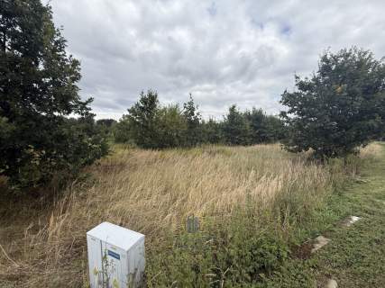 Działka/Iżyce, gm. Strzyżewice/spokojna okolica