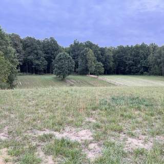 Działka budowlana 2200 m Wierciszów, gm. Jabłonna