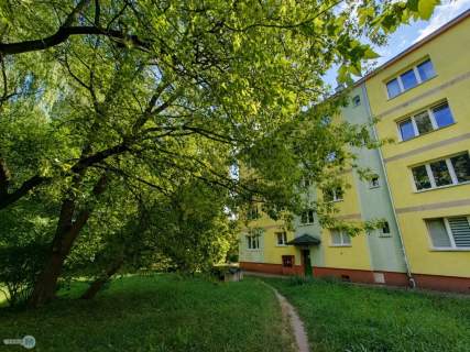 3 pokoje, 2 piętro, duży balkon, po remoncie