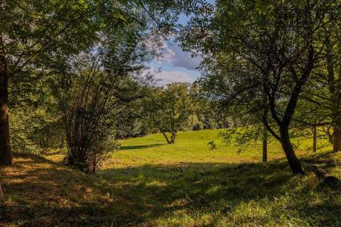 DREWNIANY DOM PO GRUNTOWNYM REMONCIE NA 1,35 HA -