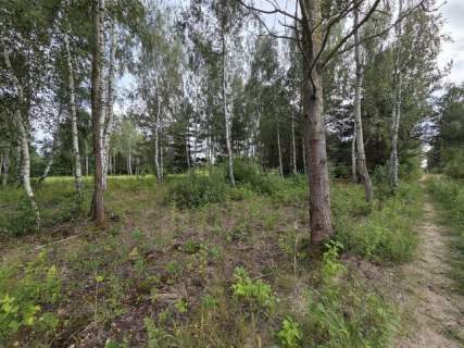 Piękna z drzewami, prądem, wodą i MPZP