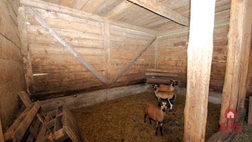 Działka z budynkami gospodarczymi