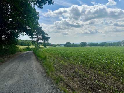 Złoty Widok na Twoją Przyszłość 1800 m2 Słupice