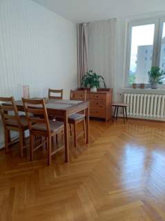 Cicha kawalerka do wynajęcia/10min do Metra Wierzbno