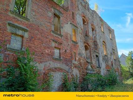 Ruiny Willi i Pałacu w Starej Kraśnicy 2,8 ha