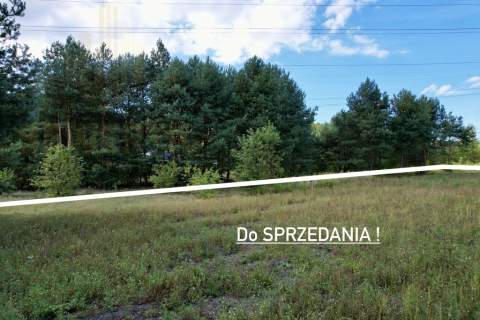 Działka 1365 m przy lesie, wszystkie media