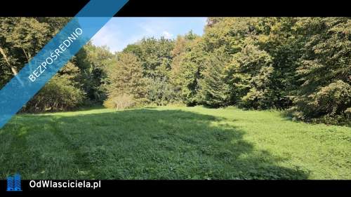  Unikatowy park pod Warszawą