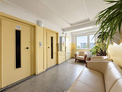 KW Balkon Piwnica Wszystkie ściany działowe