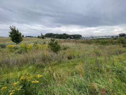 Załeże działka rzemieślnicza/usługowa