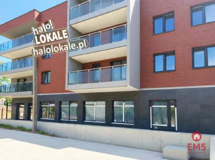 Nowe lokale do wynajęcia