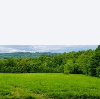 Działka rolna na sprzedaż, 21400 m2, Łobozew Górny