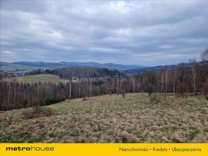 Cudna działka z widokiem na panoramę Doliny Bobru.
