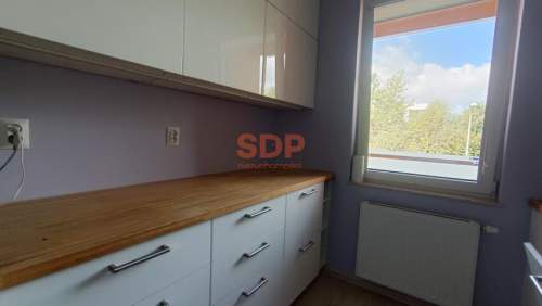 Psie Pole, os. Rycerskie, 2 pokoje, rozkład, 43 m2, loggia, komórka