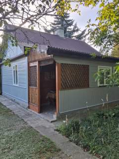 Drewniany dom z duszą w sercu miasta