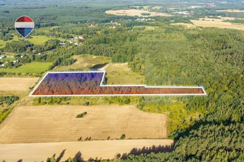 Działka leśna pow. 29.600 m , Bukowina Sycowska