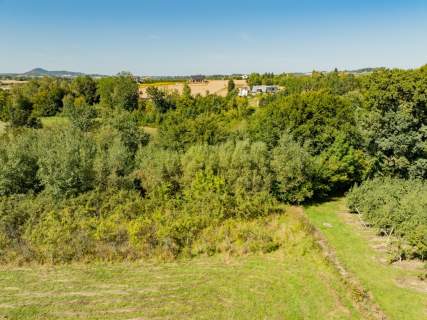 Działka rolno-leśna, 1,56 ha, Sadek, Jodłownik