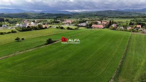Działka budowlana na sprzedaż, 3000 m2, Modliszów