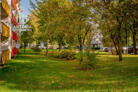 Przestrzeń z potencjałem, 79,5 m2, 475 tys. zł