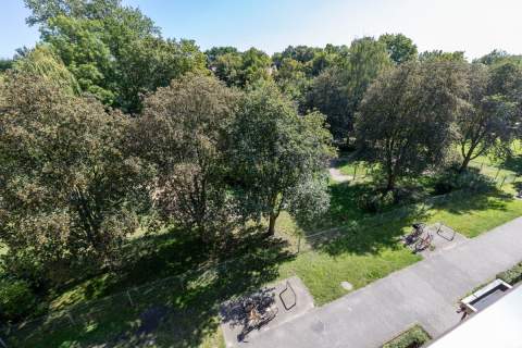 3 Pokoje Balkon Po kapitalnym remoncie