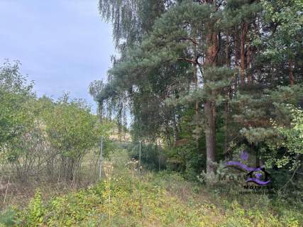 MIrów Działka leśna między Mirowem a Bobolicami