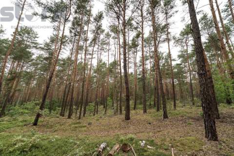 Działka budowlana na Wydmach 2221 m2 - bez prowizji Rezerwacja