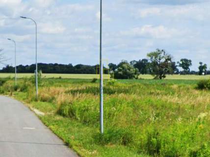 Żórawina, działka budowlana 1531 m2, media