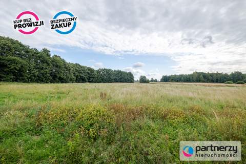 Wjazd S6 - 100m Max 60% zabudowy 25m wysokości