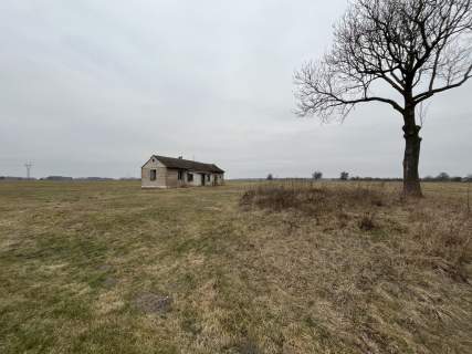 Działka 6462 z widokiem na muzeum w Czarnolesie