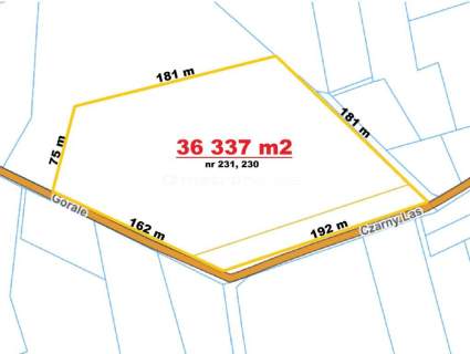 3,63 ha - Dom 264 m stodoła, Woźniki