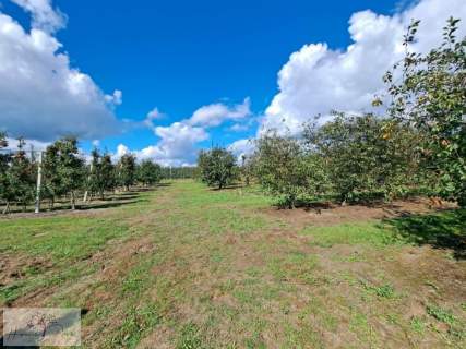 Działka na sprzedaż, 68500 m2, Rawa Mazowiecka