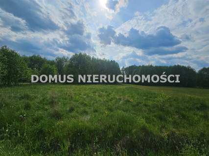 Działka z wydanymi warunkami zabudowy
