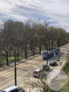 Pokój biurowy 22 m2 w ścisłym Centrum