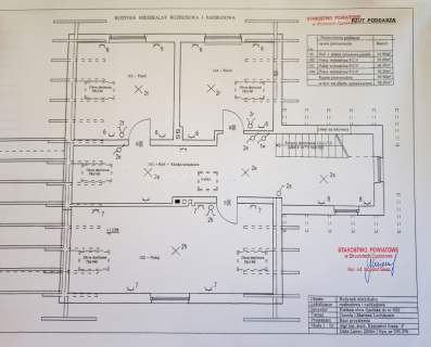 Dom z gotowym biznesem-plantacja borówki