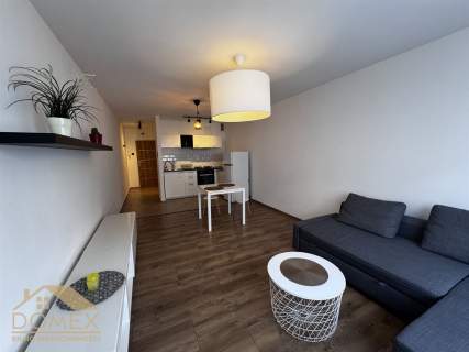 Mieszkanie do wynajęcia, 31 m2, Wodzisław Śląski