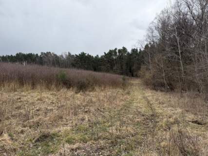 Działka budowlana na sprzedaż, 19935 m2, Charzyno