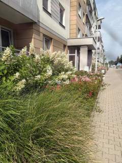 Komfortowe 3 pok balkon winda wyposażone Di Trevi