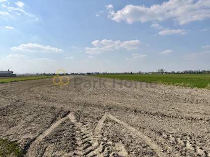 Grunt rolny/leśny 1,26 ha - Rawicz, Szymanowo