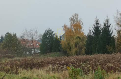 Domasław, Bielany, działka budowlana 1550 m2